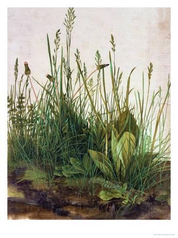 Large Piece of Turf By Albrecht Dürer, 1503, watercolor  