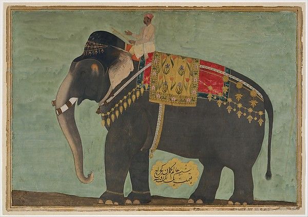 Portrait of the Elephant “Alam-Guman Gajraj”