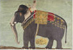 Portrait of the Elephant “Alam-Guman Gajraj”